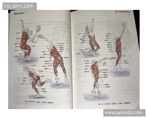 网球比赛规则全解析:从发球到计分技巧,全面了解网球运动的基本规则