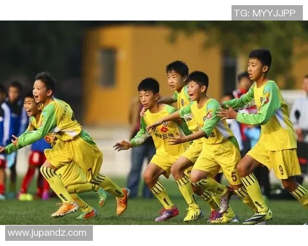 荷兰足球甲级联赛发展历程与现状分析:球队竞争力与青训体系的提升