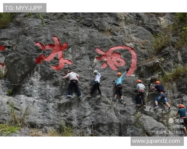 广州攀岩队与杭州攀岩队比赛经验深度分析与反思