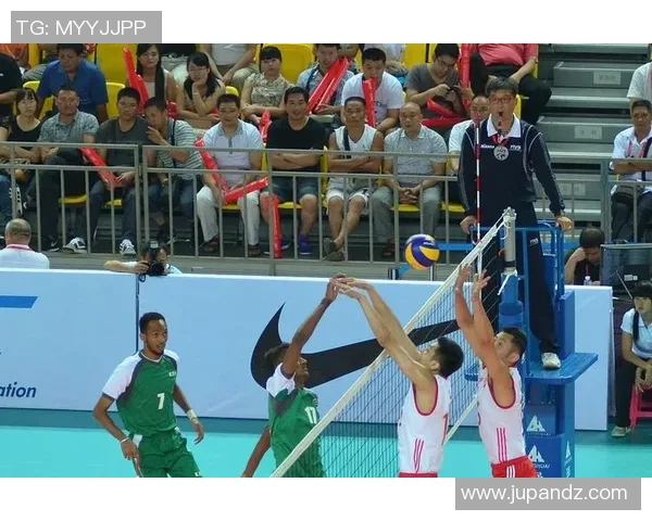 西安排球队战术解析与排球技战术的深度探讨